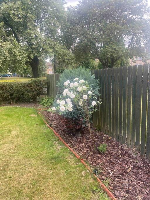 Lovely 2 bedroom with private garden EDI Buitenkant foto